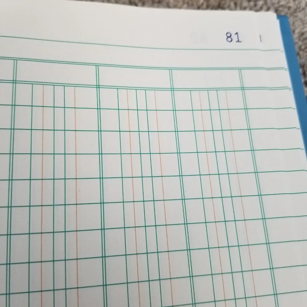 Blueline vintage ledger